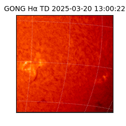 gong - 2025-03-20T13:00:22