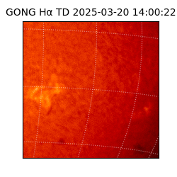 gong - 2025-03-20T14:00:22