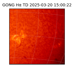 gong - 2025-03-20T15:00:22