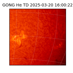 gong - 2025-03-20T16:00:22