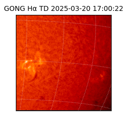 gong - 2025-03-20T17:00:22