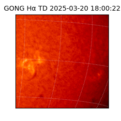 gong - 2025-03-20T18:00:22
