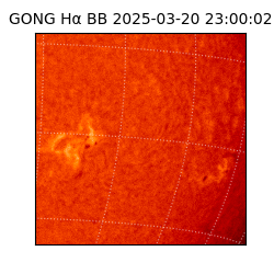 gong - 2025-03-20T23:00:02