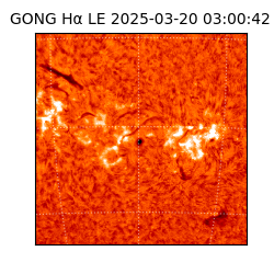 gong - 2025-03-20T03:00:42