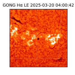 gong - 2025-03-20T04:00:42