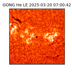 gong - 2025-03-20T07:00:42