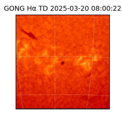 gong - 2025-03-20T08:00:22