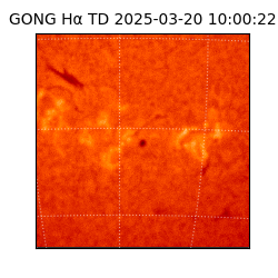 gong - 2025-03-20T10:00:22