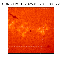 gong - 2025-03-20T11:00:22