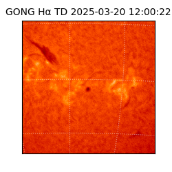 gong - 2025-03-20T12:00:22