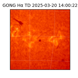 gong - 2025-03-20T14:00:22