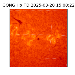 gong - 2025-03-20T15:00:22