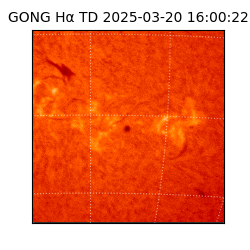 gong - 2025-03-20T16:00:22