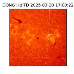 gong - 2025-03-20T17:00:22