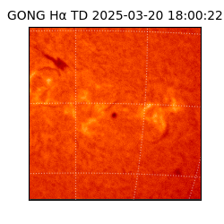 gong - 2025-03-20T18:00:22