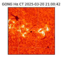 gong - 2025-03-20T21:00:42