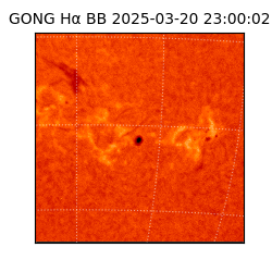 gong - 2025-03-20T23:00:02