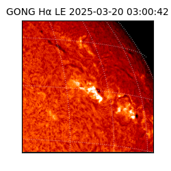 gong - 2025-03-20T03:00:42