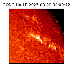 gong - 2025-03-20T04:00:42