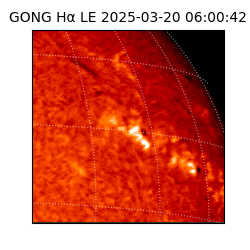 gong - 2025-03-20T06:00:42