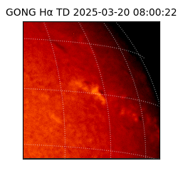 gong - 2025-03-20T08:00:22