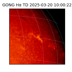gong - 2025-03-20T10:00:22
