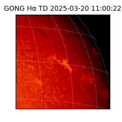 gong - 2025-03-20T11:00:22