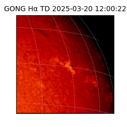 gong - 2025-03-20T12:00:22