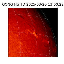 gong - 2025-03-20T13:00:22