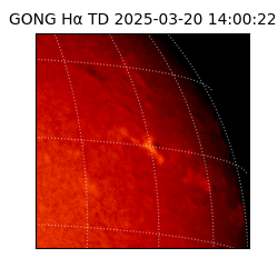 gong - 2025-03-20T14:00:22