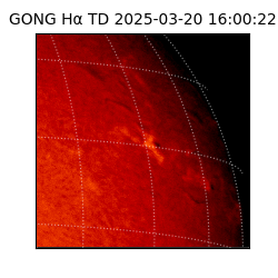gong - 2025-03-20T16:00:22