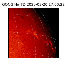 gong - 2025-03-20T17:00:22