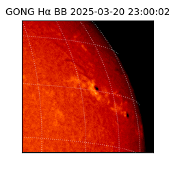 gong - 2025-03-20T23:00:02