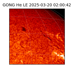 gong - 2025-03-20T02:00:42