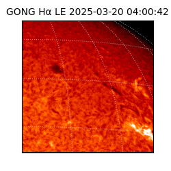 gong - 2025-03-20T04:00:42
