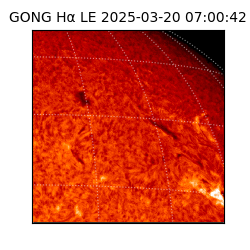 gong - 2025-03-20T07:00:42