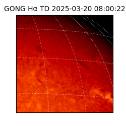 gong - 2025-03-20T08:00:22