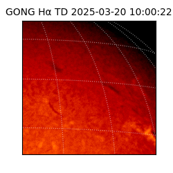 gong - 2025-03-20T10:00:22