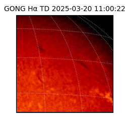 gong - 2025-03-20T11:00:22