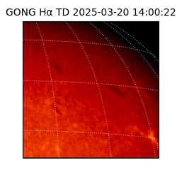 gong - 2025-03-20T14:00:22