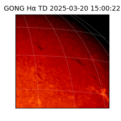 gong - 2025-03-20T15:00:22