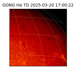 gong - 2025-03-20T17:00:22