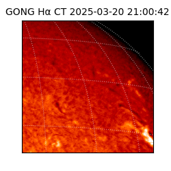 gong - 2025-03-20T21:00:42