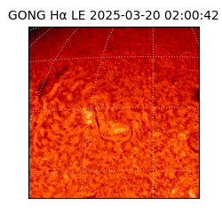 gong - 2025-03-20T02:00:42