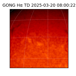 gong - 2025-03-20T08:00:22