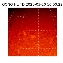 gong - 2025-03-20T10:00:22