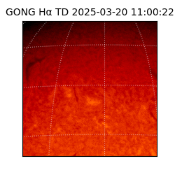 gong - 2025-03-20T11:00:22