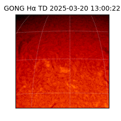gong - 2025-03-20T13:00:22
