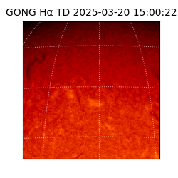 gong - 2025-03-20T15:00:22