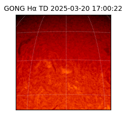 gong - 2025-03-20T17:00:22